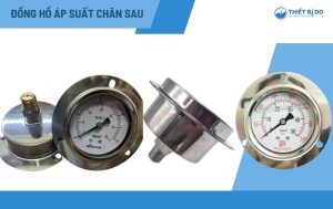 đồng hồ áp suất chân sau