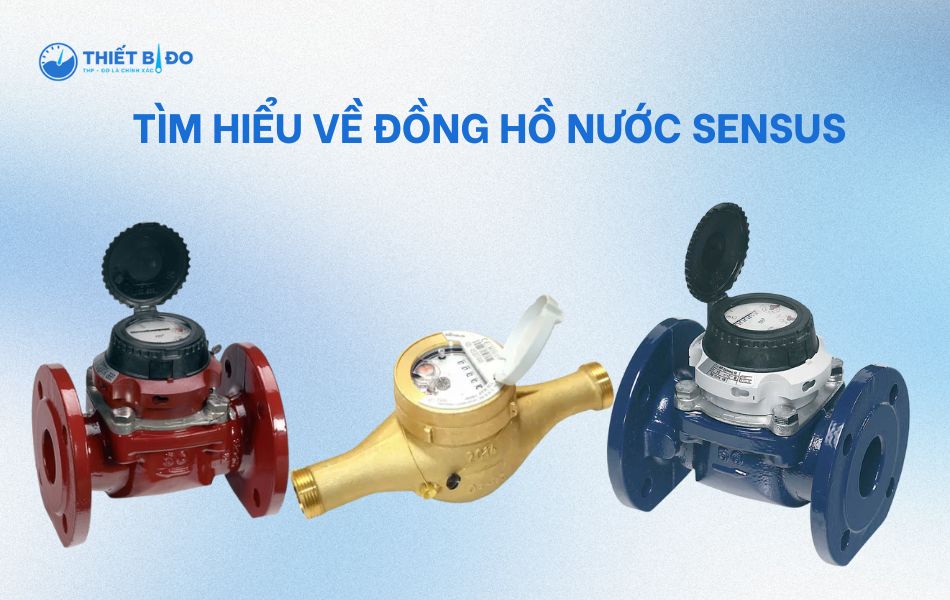 đồng hồ nước sensus