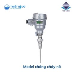 Cảm biến nhiệt độ R600 Wise model chống cháy nổ