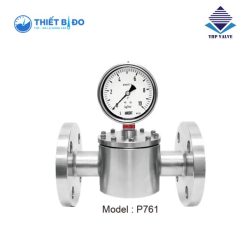 Đồng hồ áp suất P761 Wise