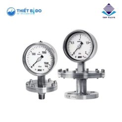 Đồng hồ áp suất P770 Wise