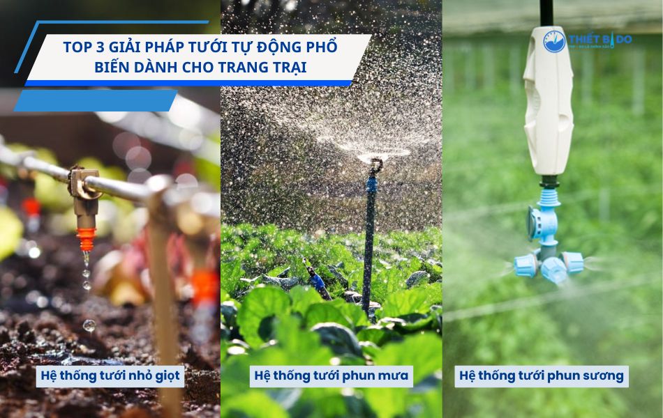 các hệ thống tưới tiêu tự động cho trang trại hiện nay