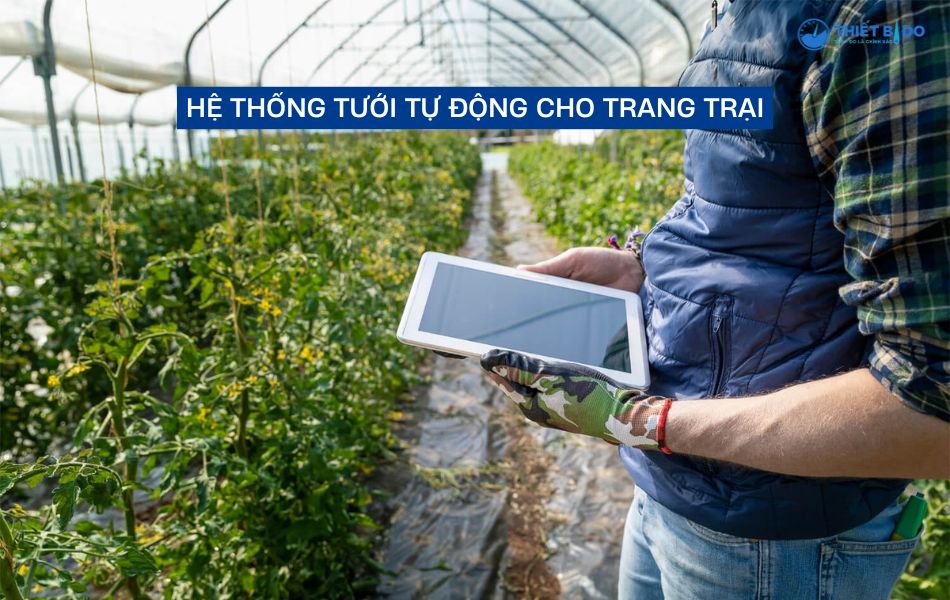 hệ thống tưới tiêu tự động cho trang trại