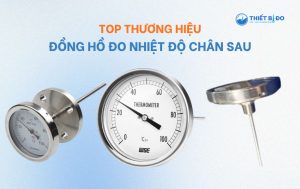 đồng hồ đo nhiệt độ chân sau