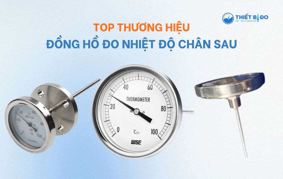 đồng hồ đo nhiệt độ chân sau