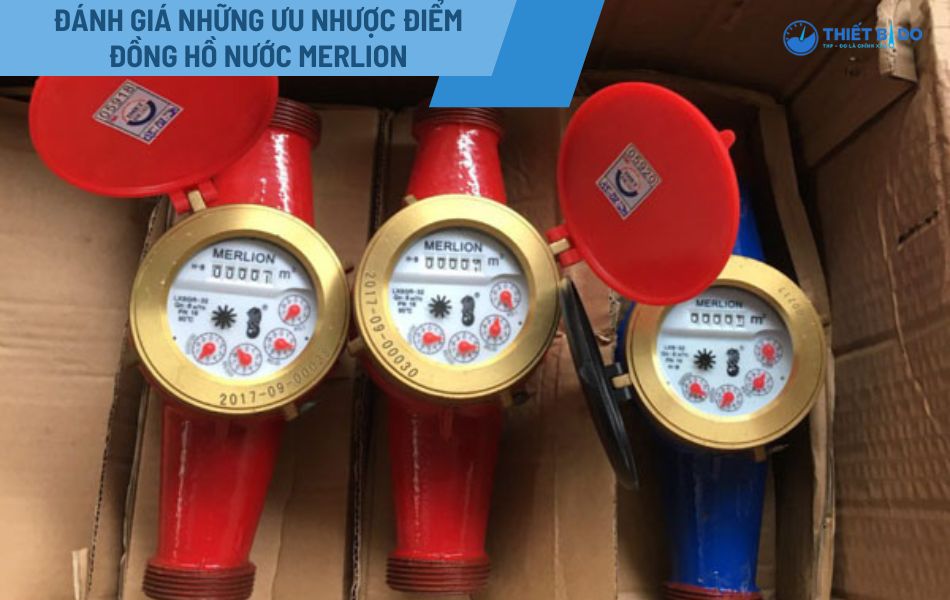 dong-ho-nuoc-merlion-so-huu-uu-diem-va-mot-so-nhuoc-diem-khi-dung