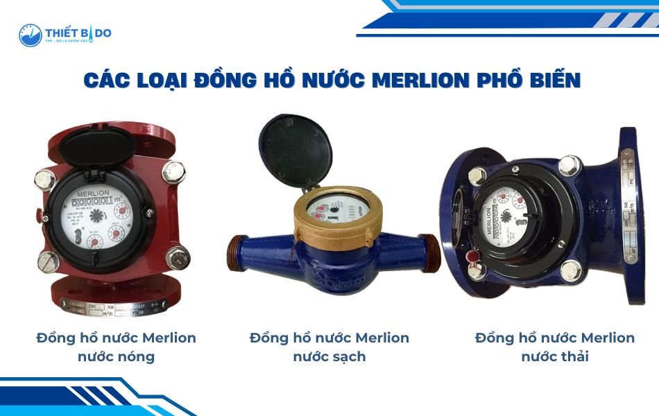 phan-loai-dong-ho-nuoc-merlion-theo-moi-truong-su-dung